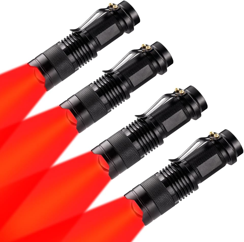 Wayllshine: Your Ultimate Companion for Night Adventures