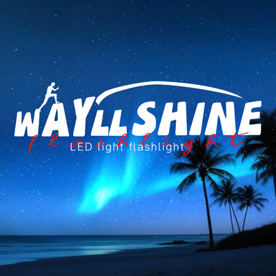 Wayllshine Logo